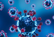 BA.2, la variante detectada en Dinamarca «tan contagiosa como ómicron pero no más peligrosa»