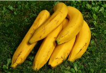 El poder del potasio: por qué los guineos son grandes aliados para tu salud